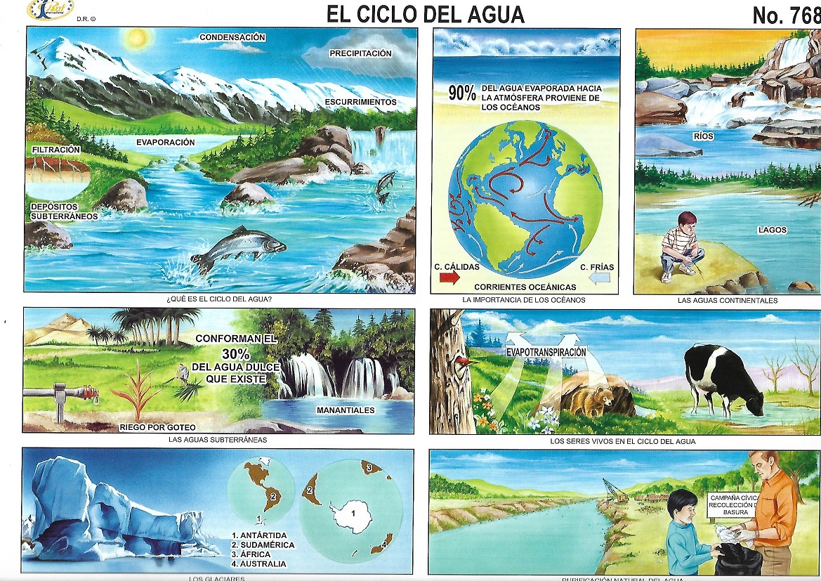 Ciclo del Agua