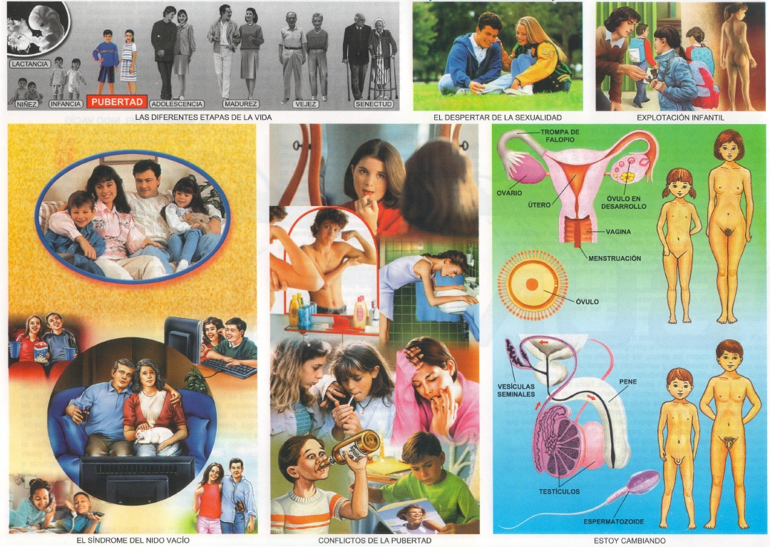 pubertad