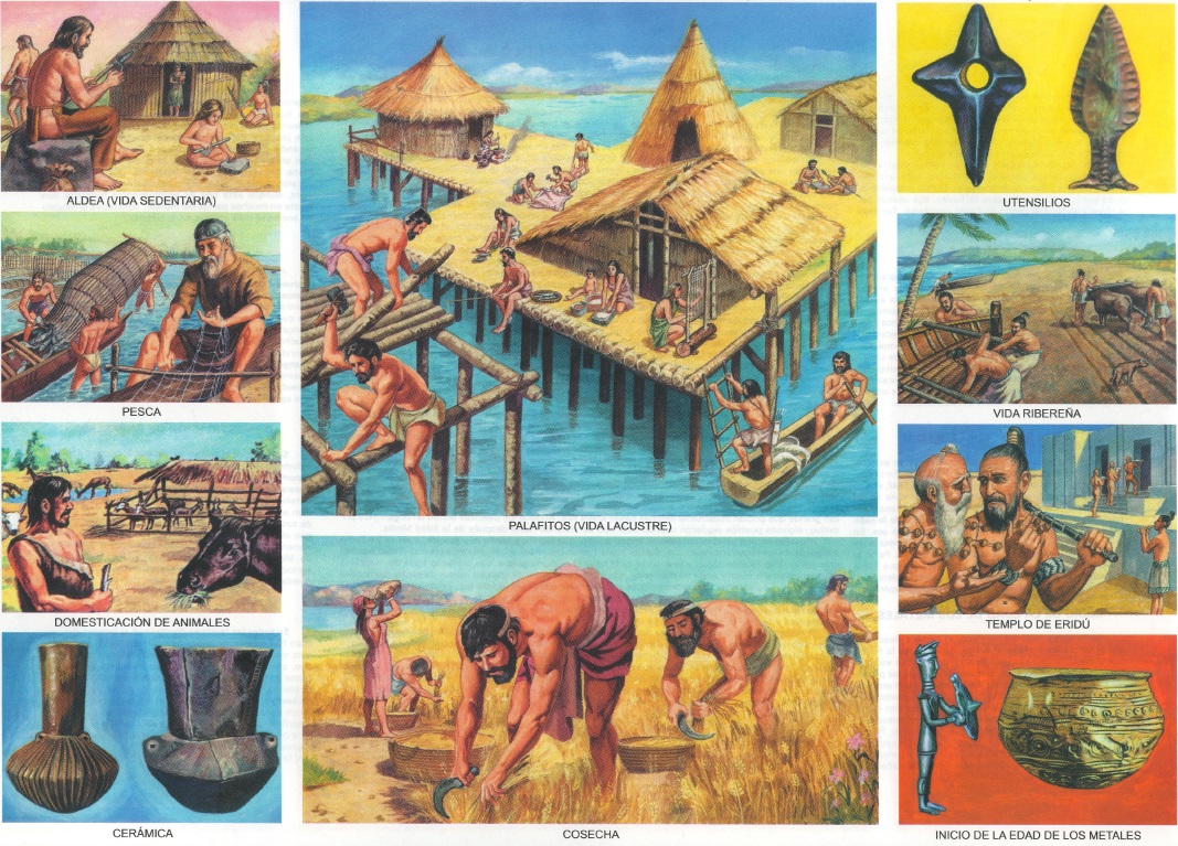 puebla con divicion politica